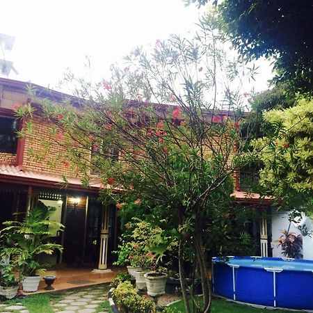 Colombo Lavinia Beach Hostel Dehiwala-Mount Lavinia Exterior photo